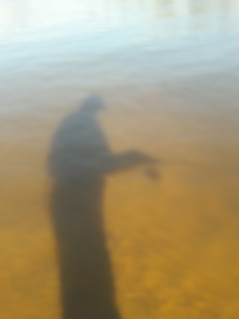 20171029_133817.jpg