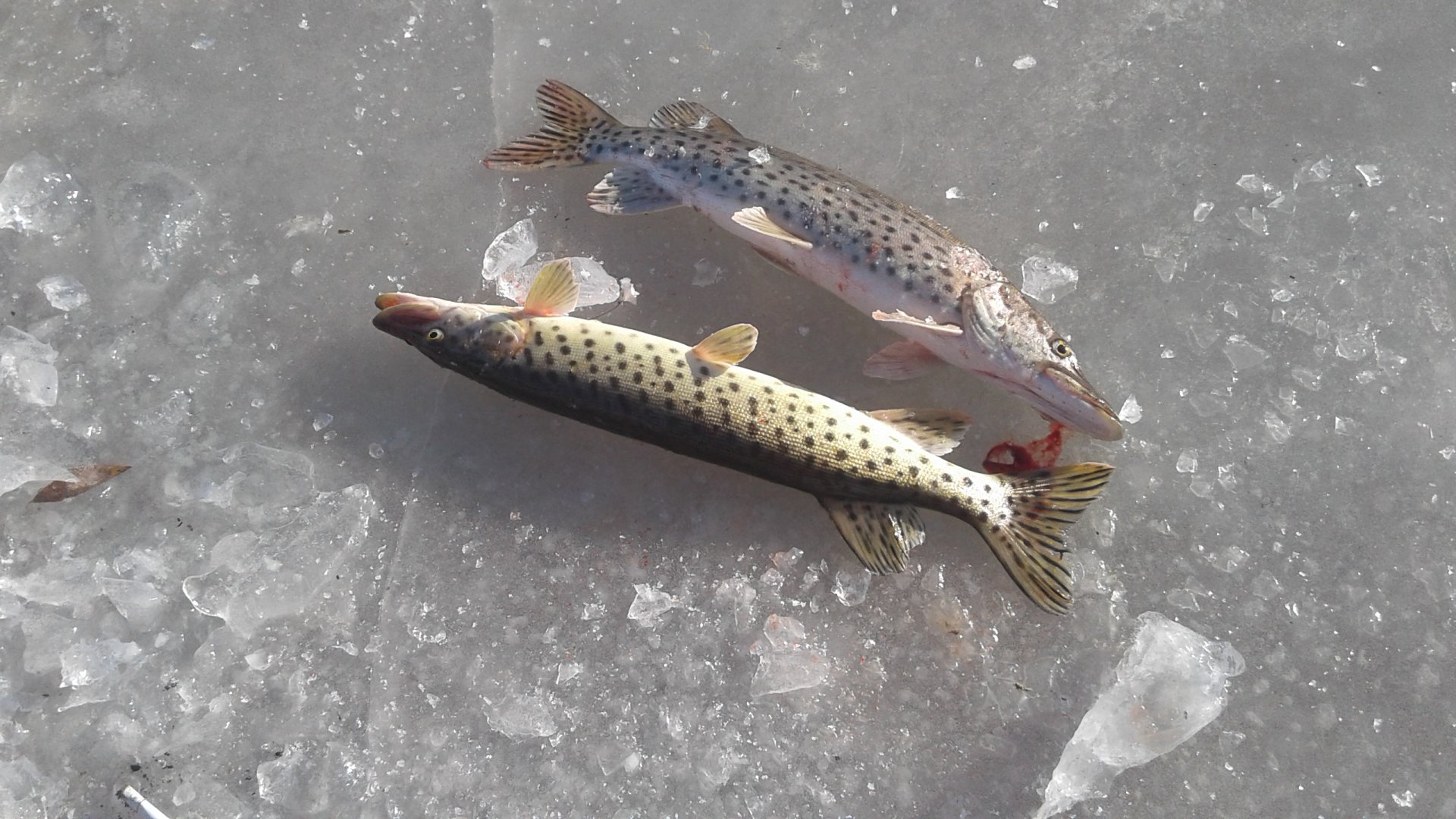 20171112_113043.jpg