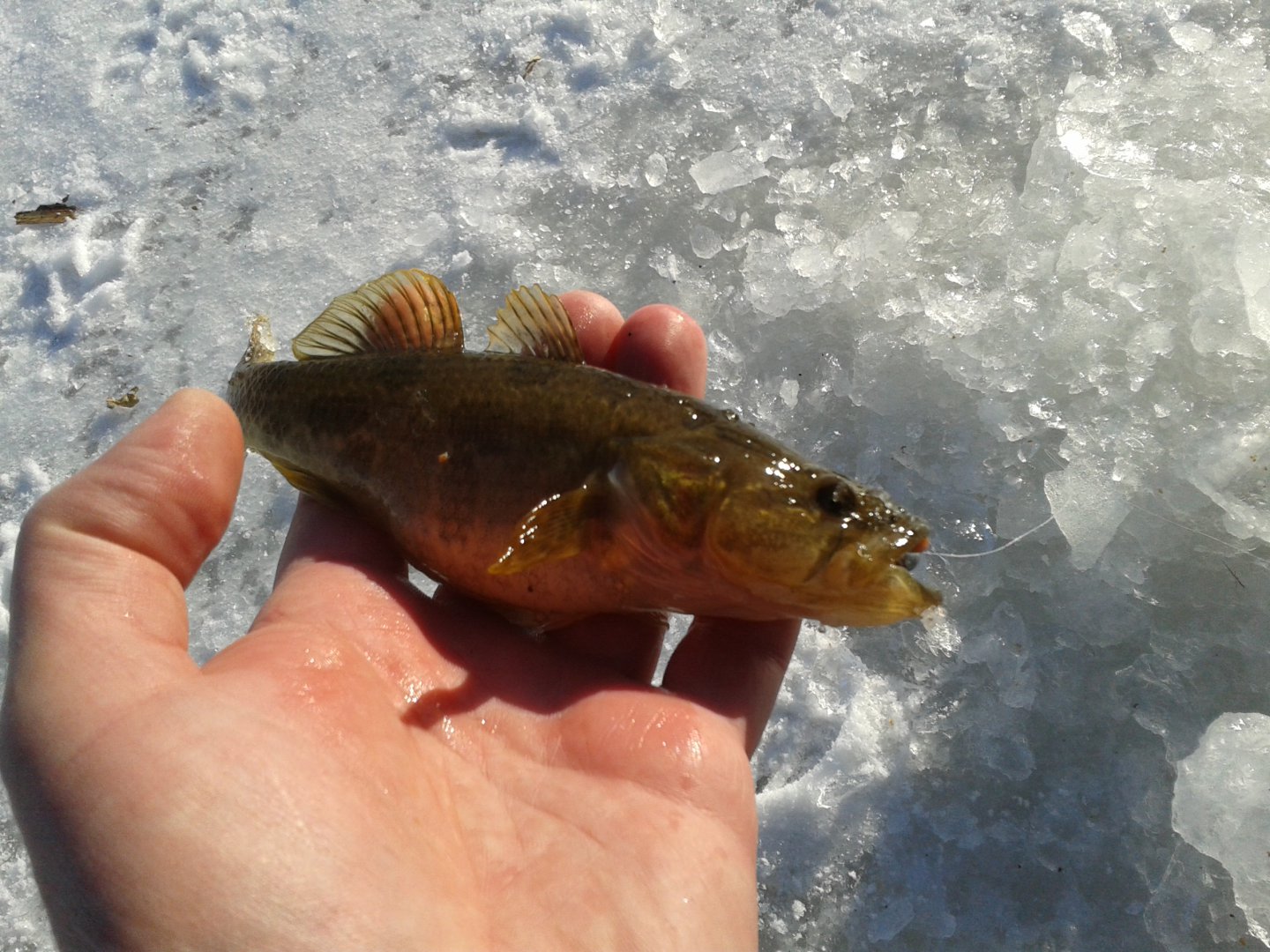 20171117_105333.jpg