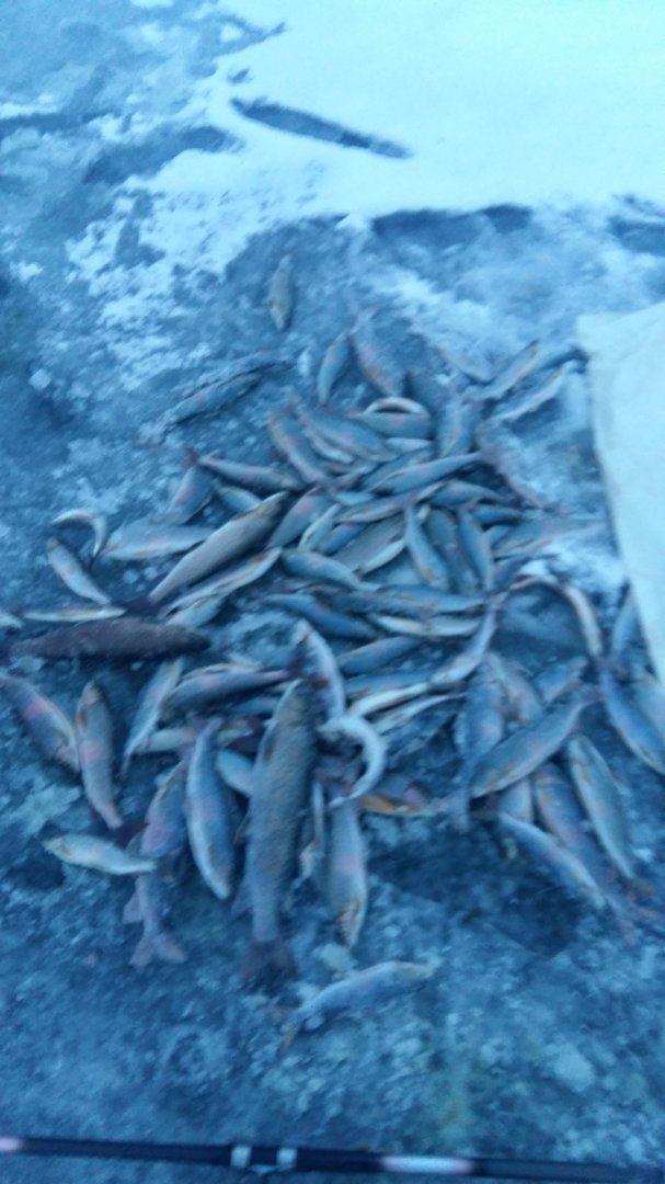 20171123_170757.jpg