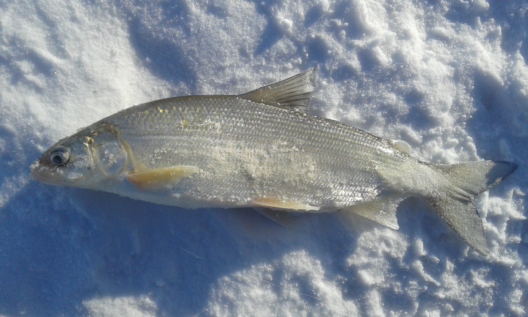 20171202_113959.jpg