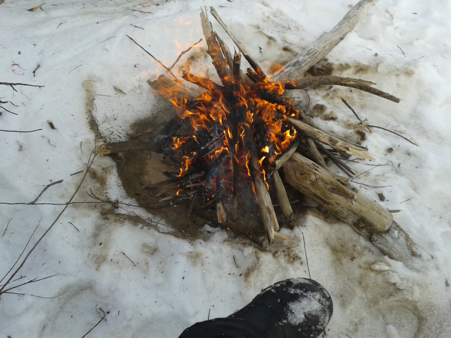 20171210_141523.jpg