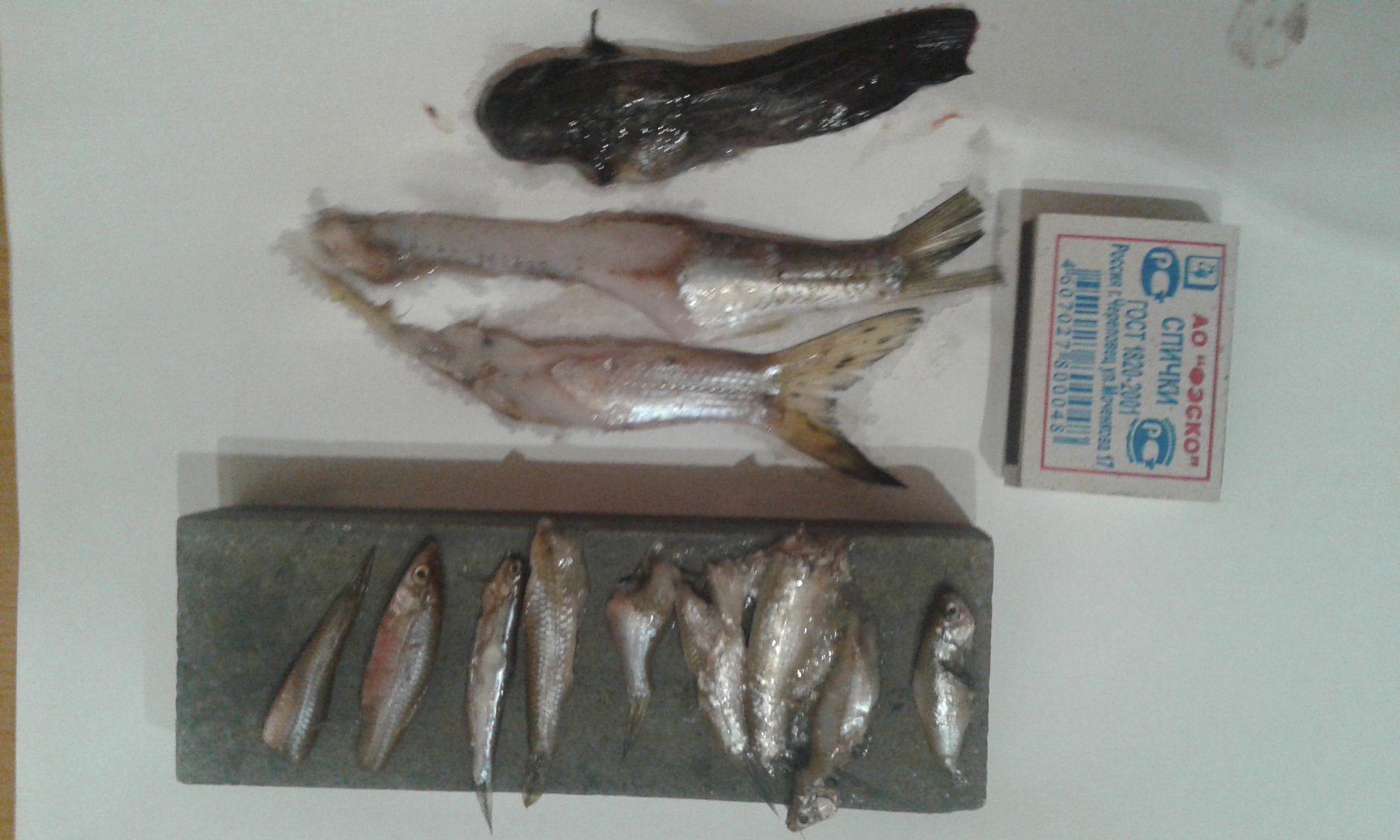 20171210_194743.jpg