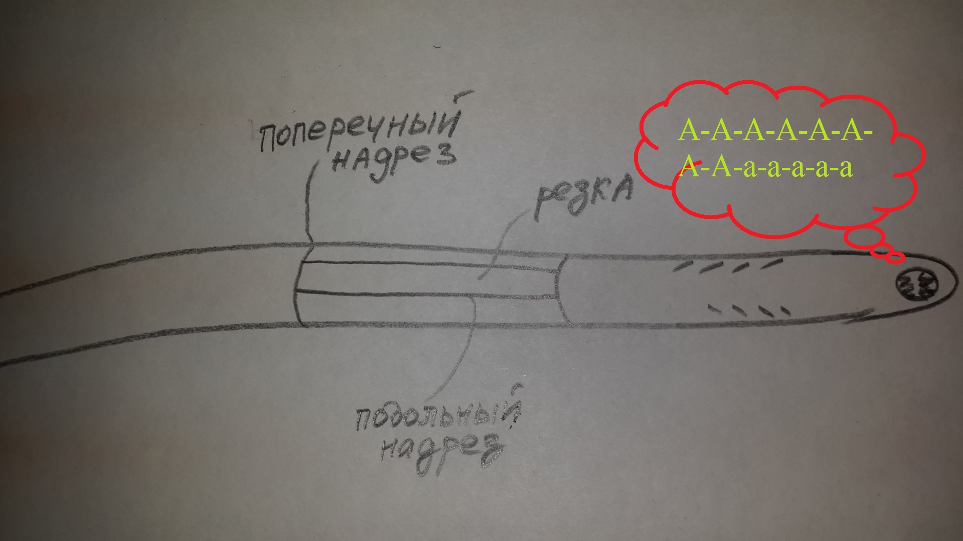 20171214_142023.jpg
