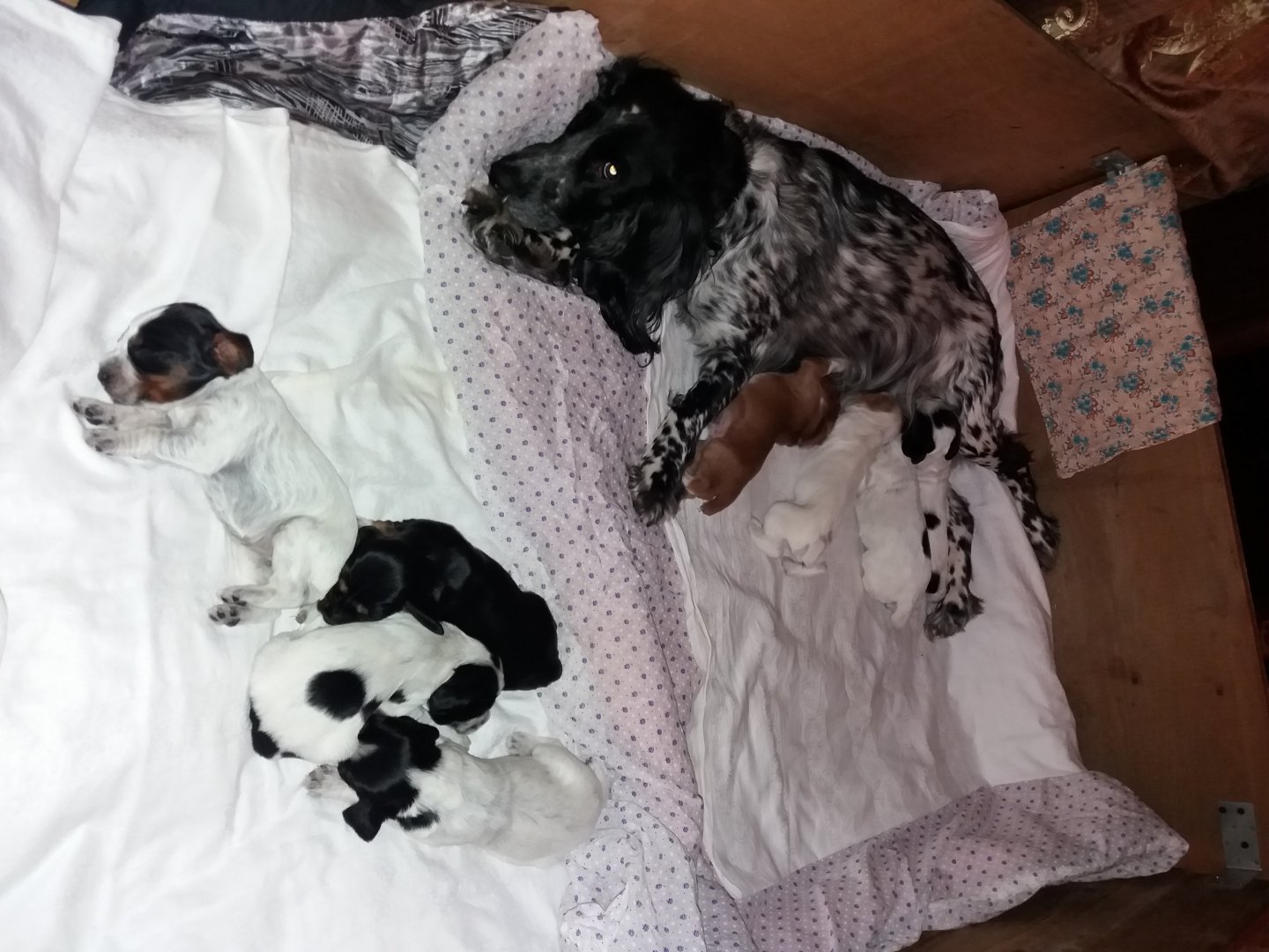 20171215_232616 (2).jpg