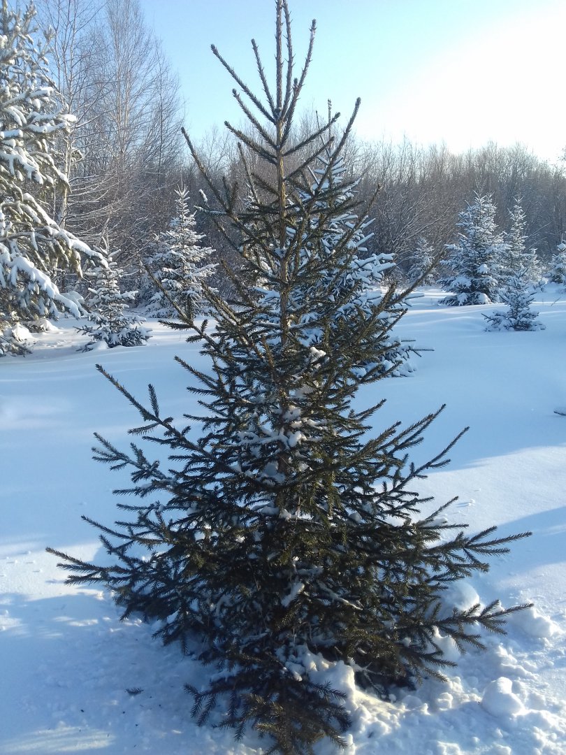 20171223_122305.jpg