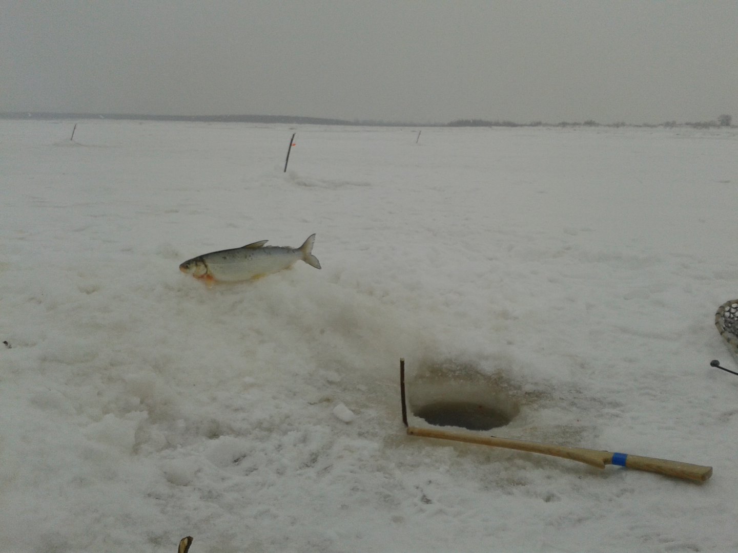 20171224_124827.jpg
