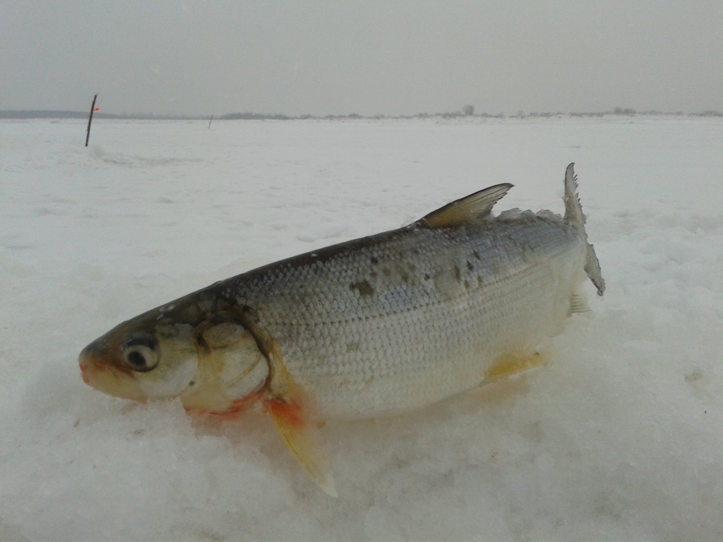 20171224_124906.jpg
