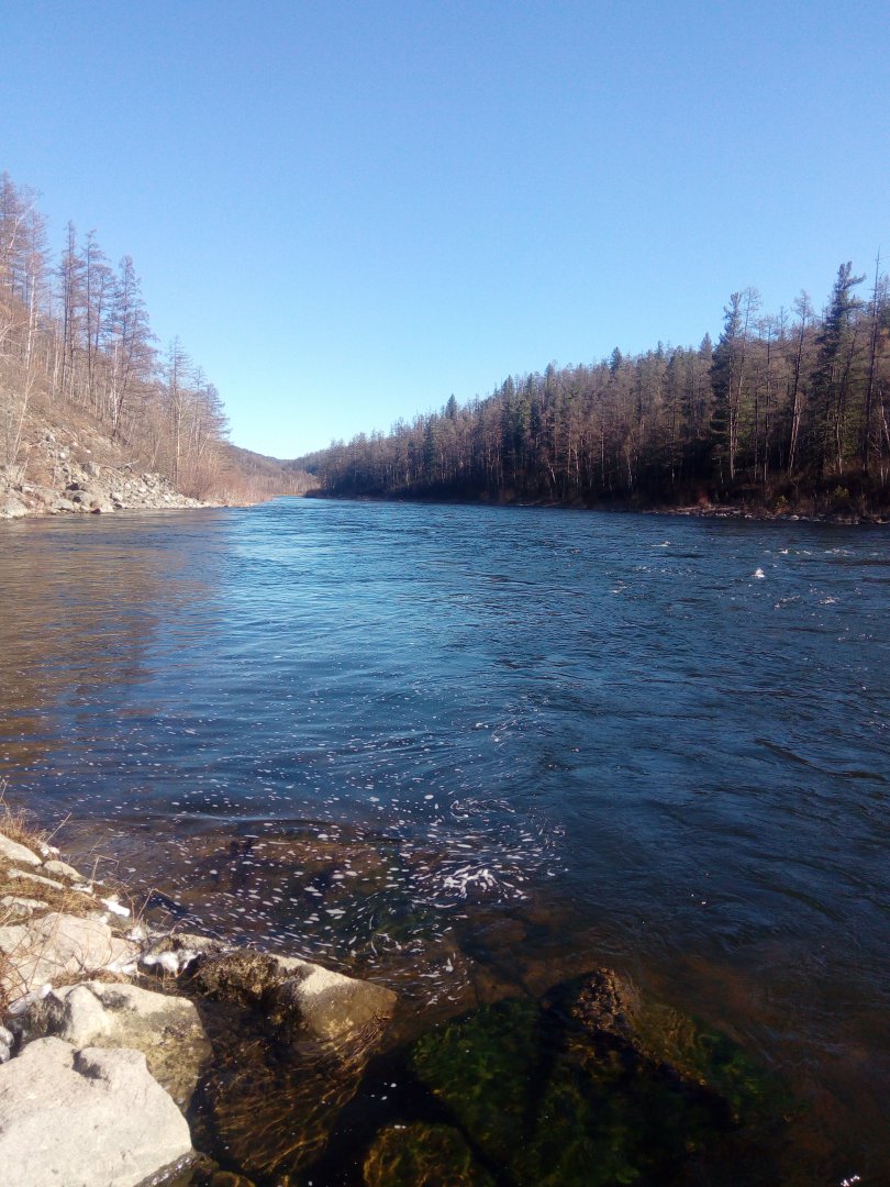 2018-10-14 11-49-32.JPG