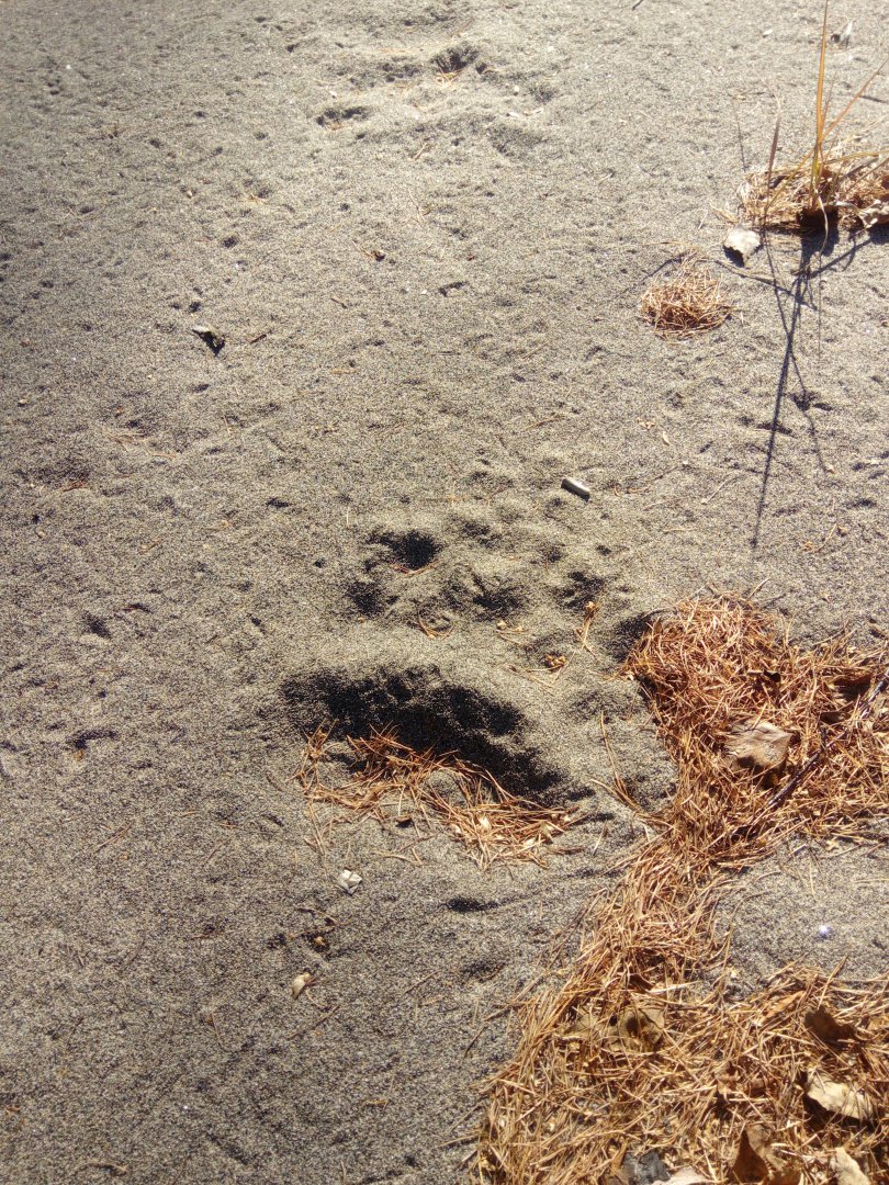 2018-10-14 14-45-48.JPG