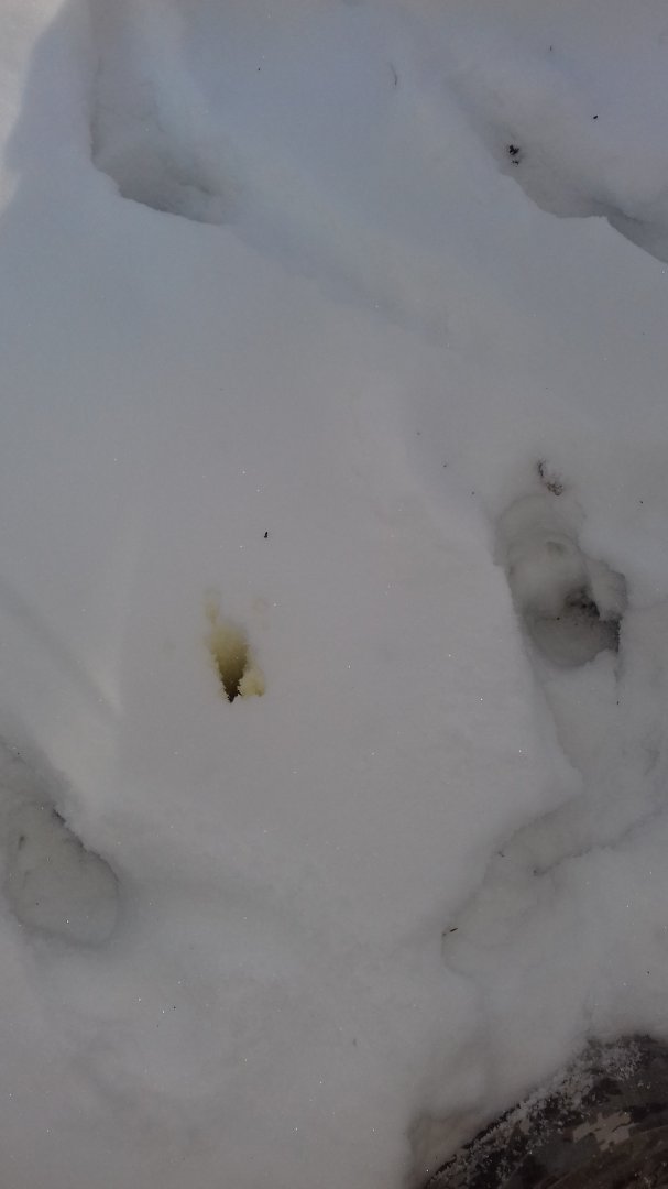 20180107_132204.jpg