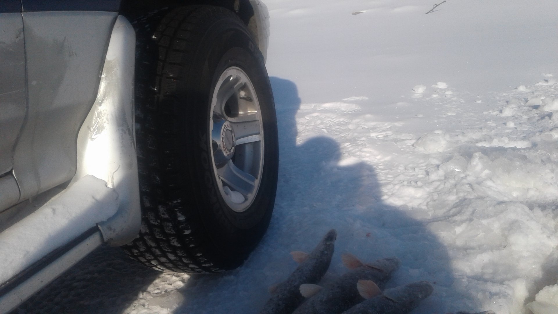 20180113_131019.jpg