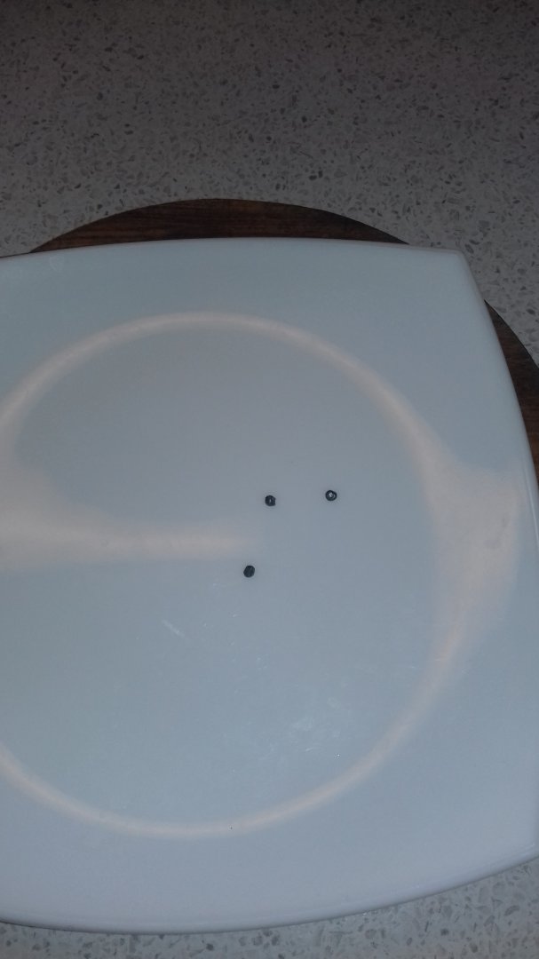 20180115_185657.jpg