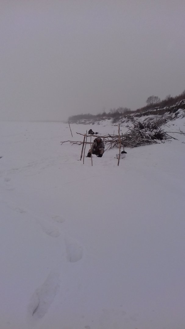 20180120_093939.jpg