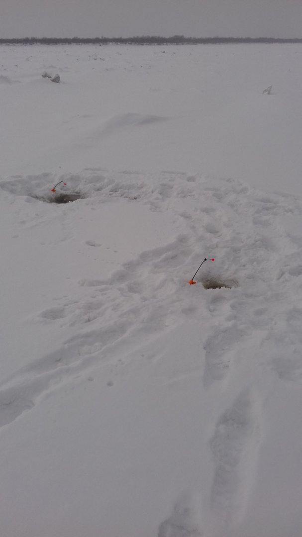 20180120_115319.jpg