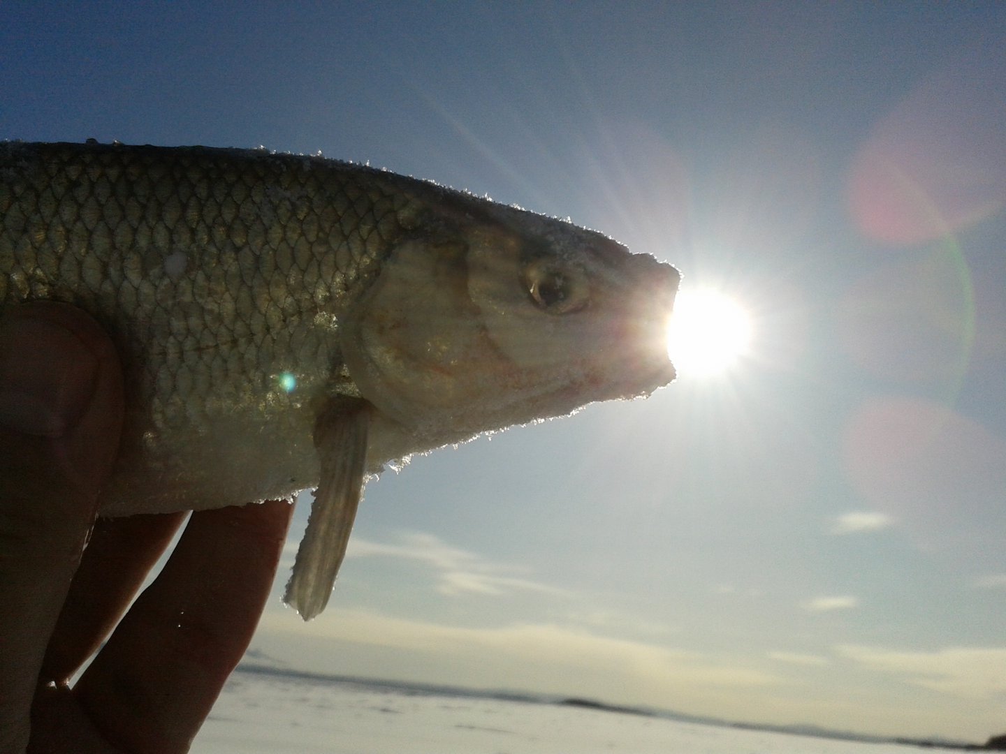 20180126_115712.jpg