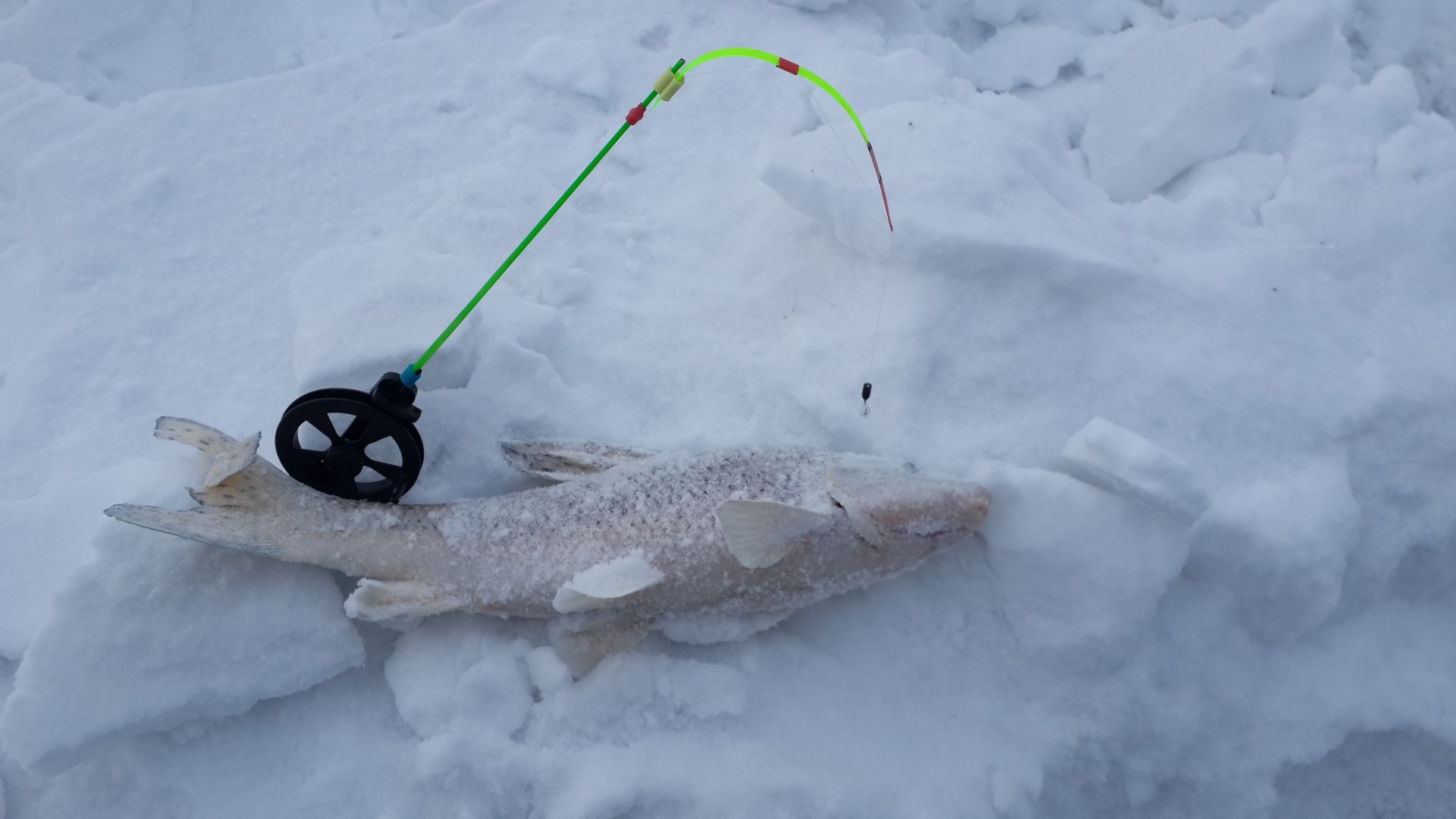 20180204_171624.jpg