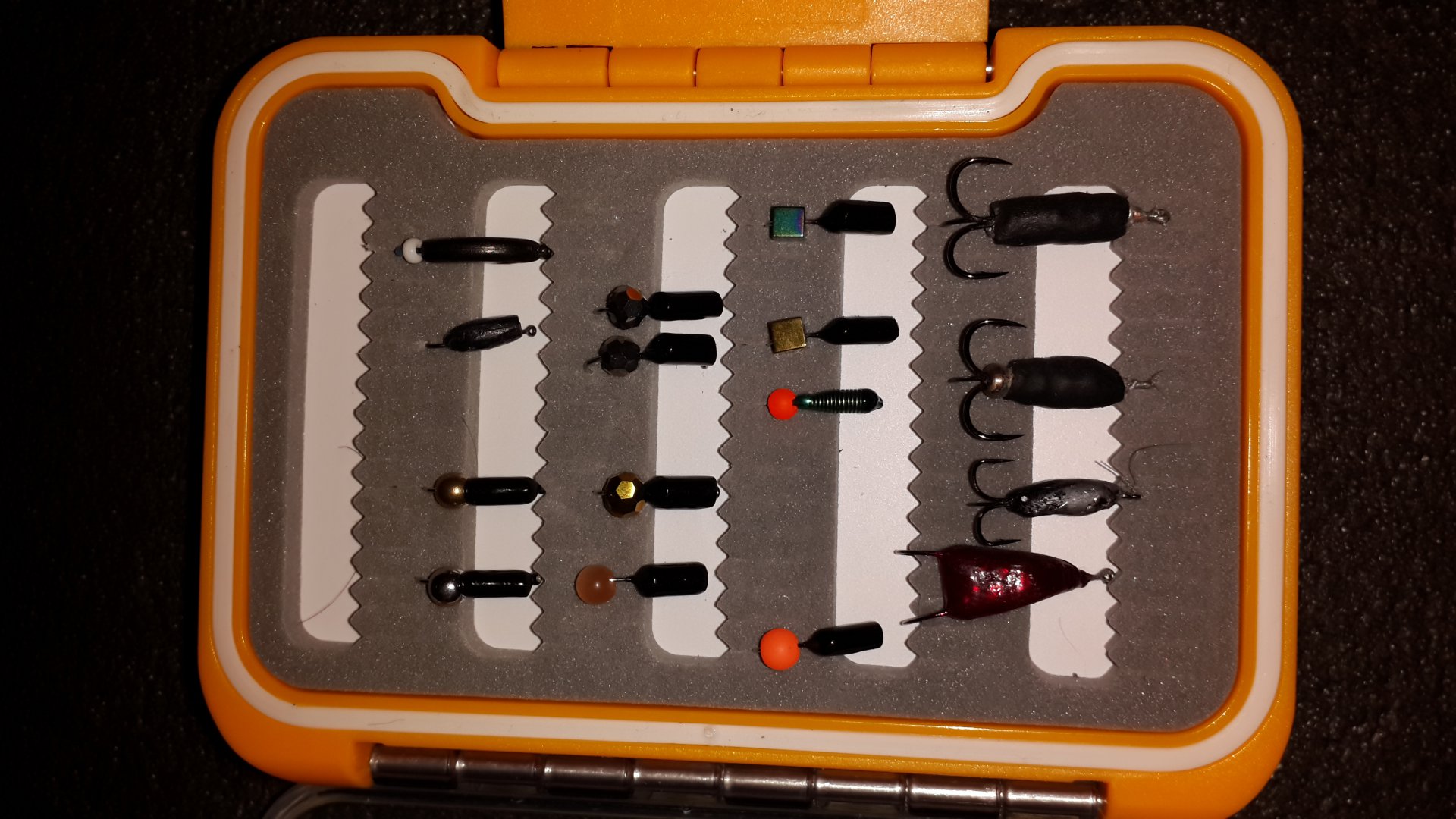 20180205_073538.jpg