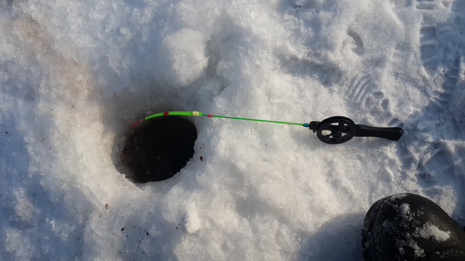 20180210_111425.jpg