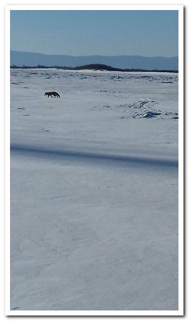 20180215_104455.jpg
