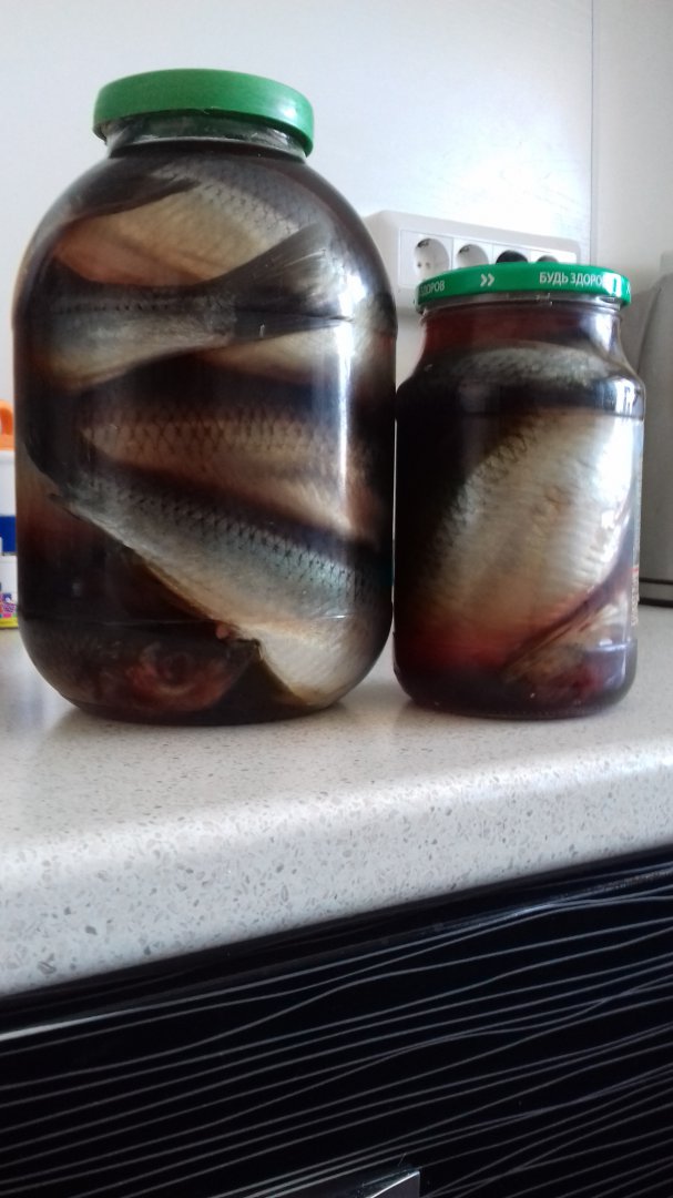 20180221_153942.jpg