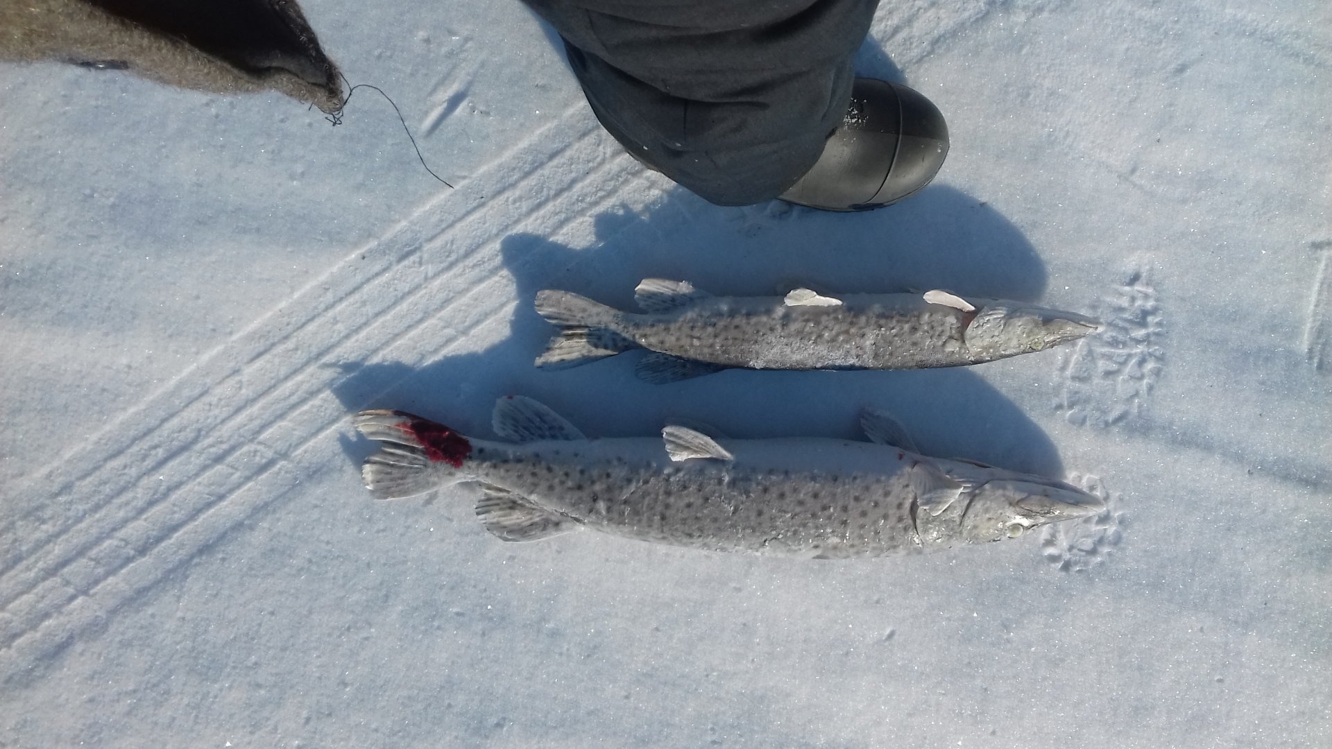 20180223_153838.jpg