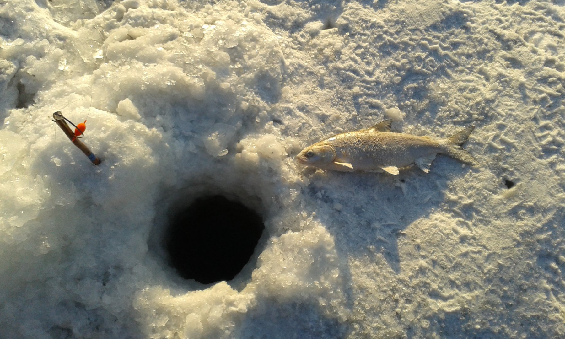 20180224_173148.jpg
