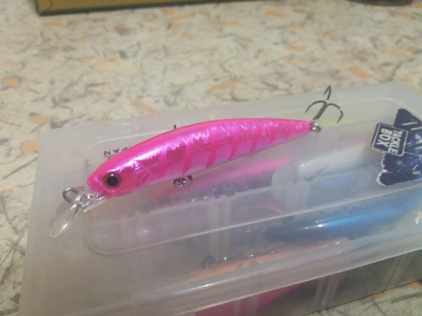 20180225_004954.jpg