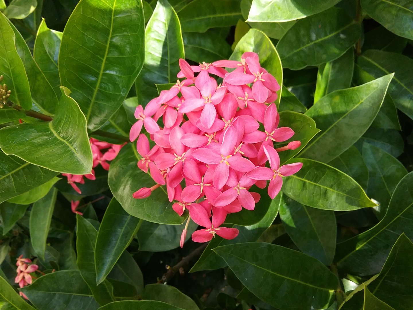 20180305_115115.jpg