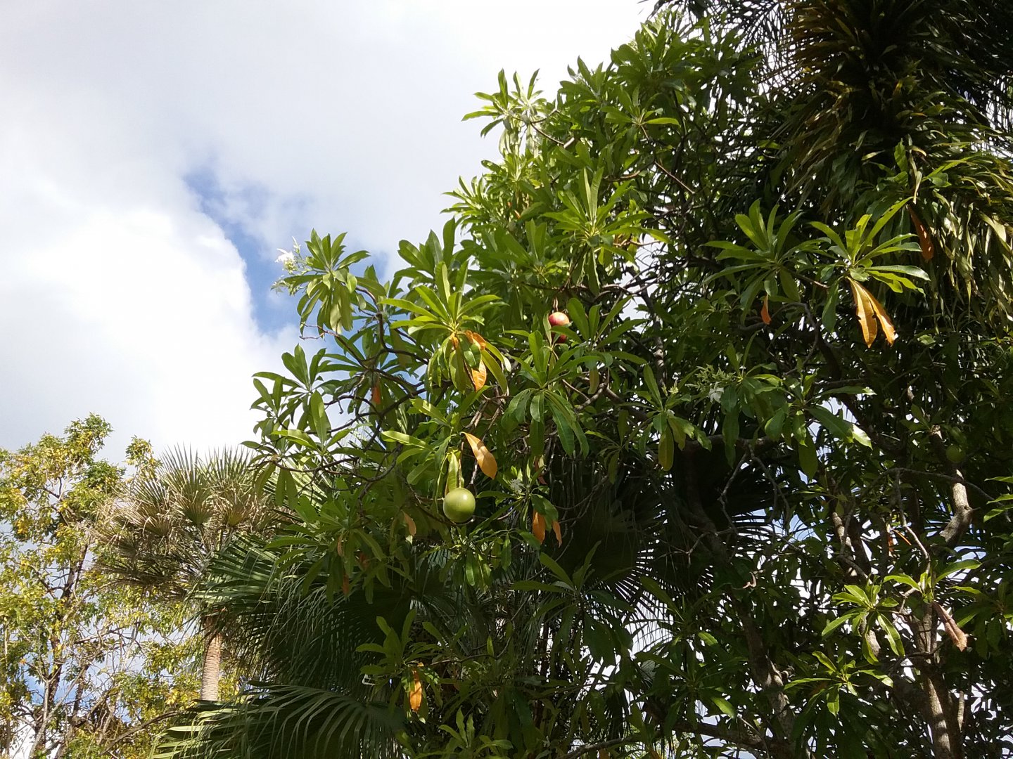 20180305_120711.jpg