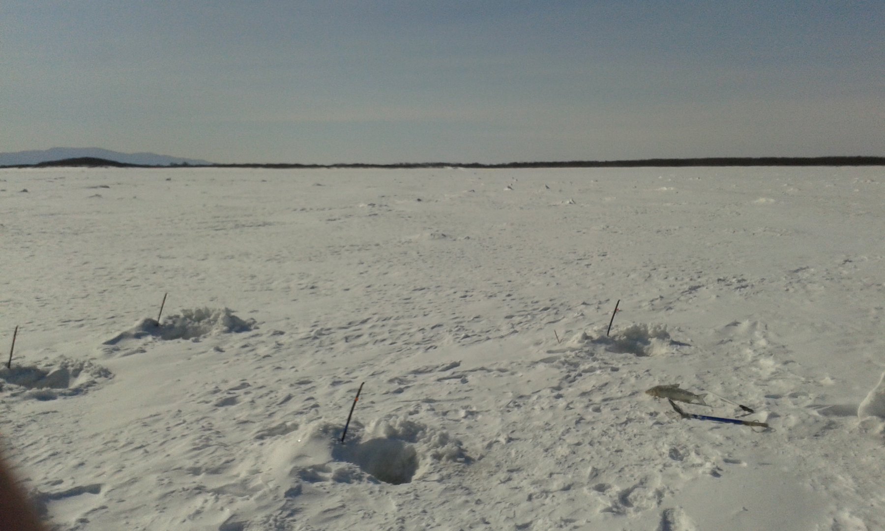 20180306_125306.jpg