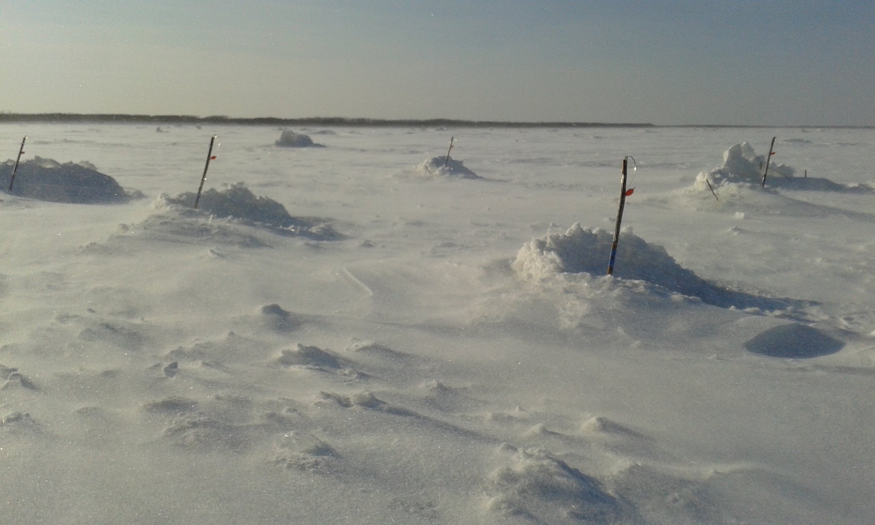 20180306_164811.jpg