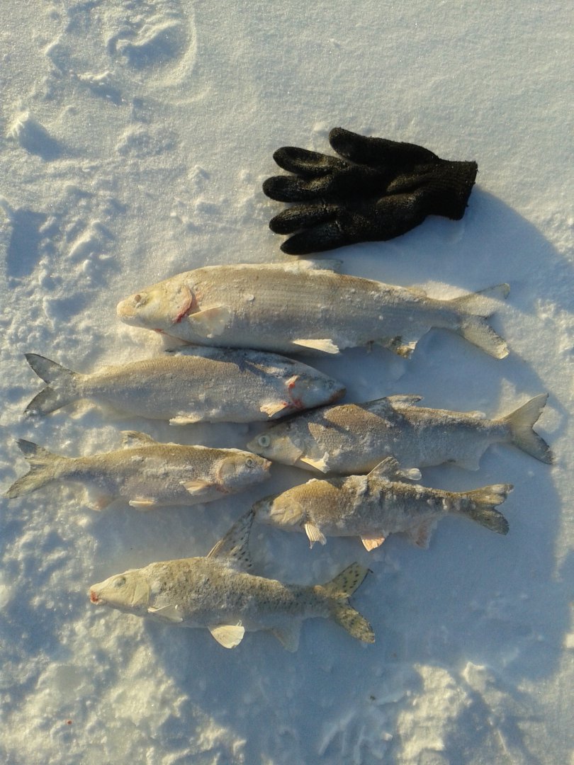 20180306_173759.jpg