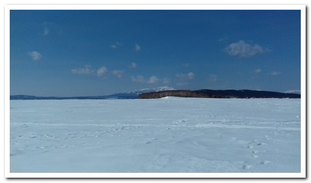 20180314_130553.jpg
