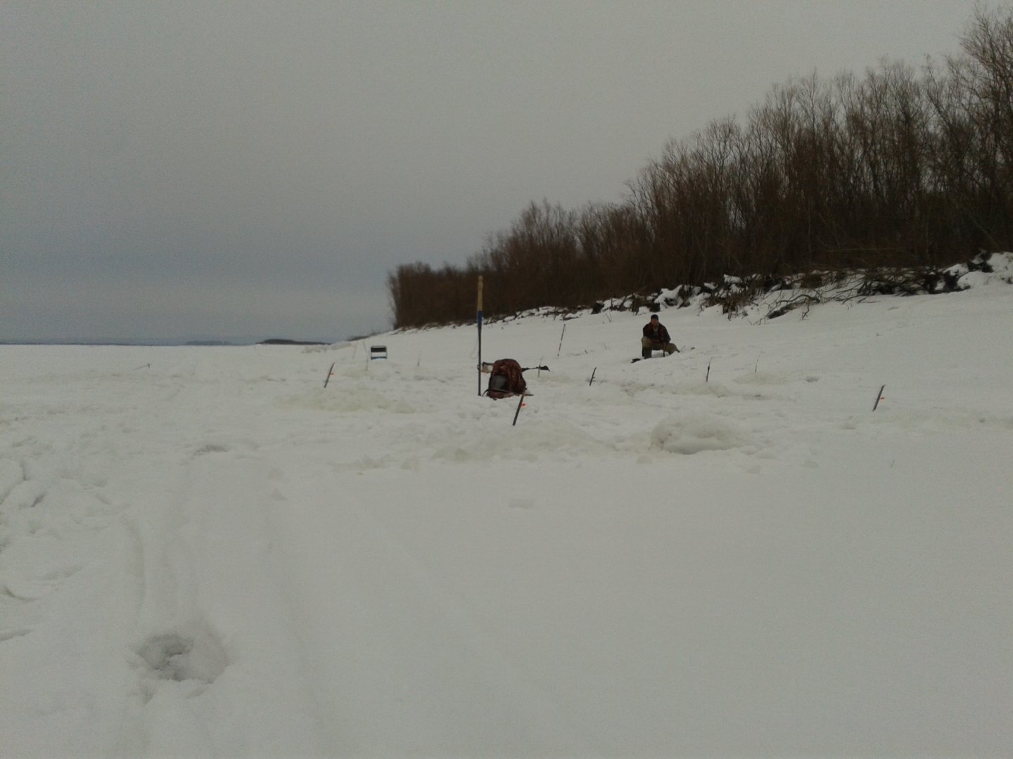 20180314_151123.jpg