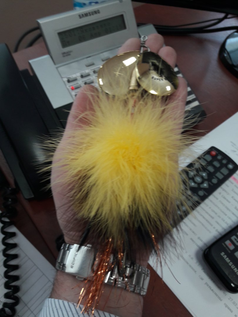 20180406_131601.jpg