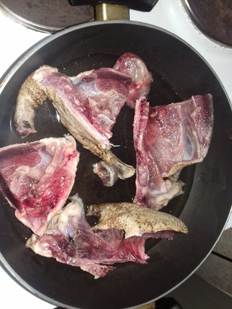 20180410_113705.jpg