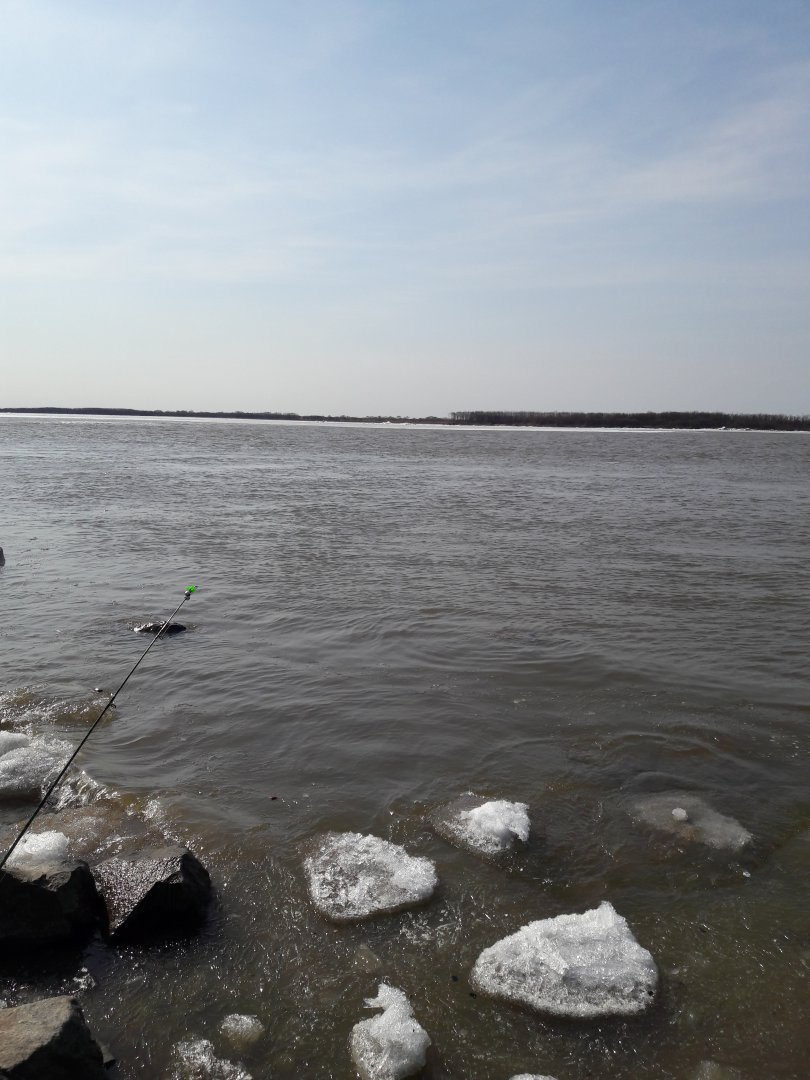 20180412_155012.jpg