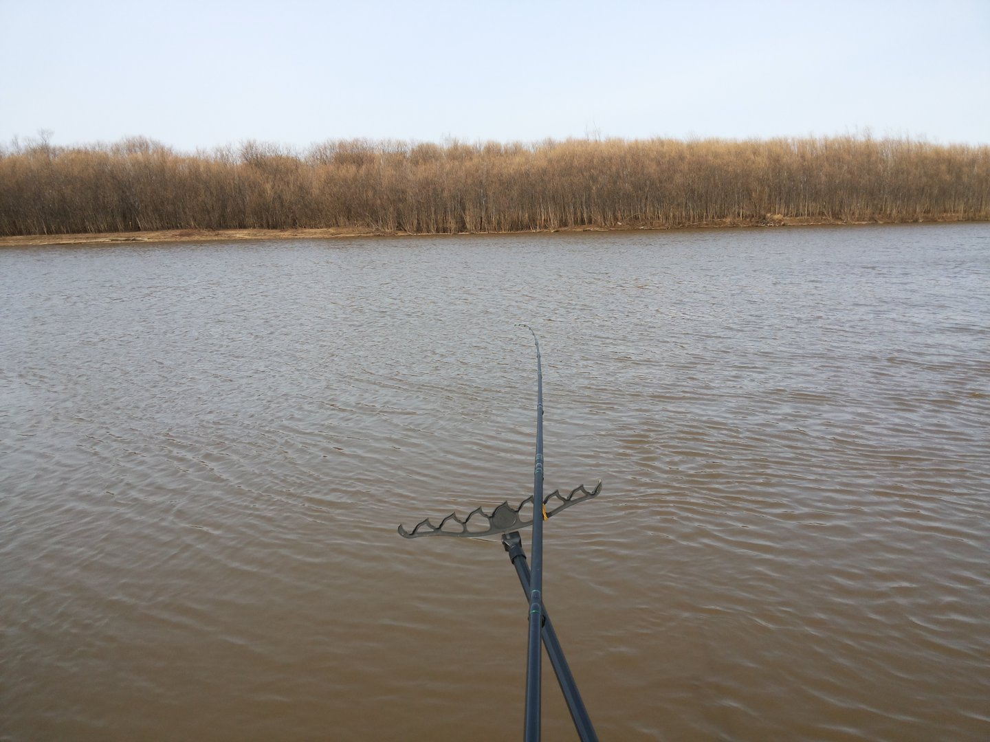 20180415_101230.jpg