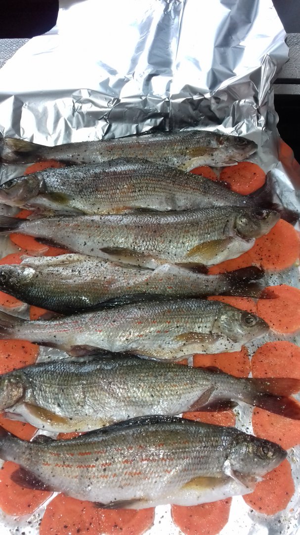 20180419_145949.jpg