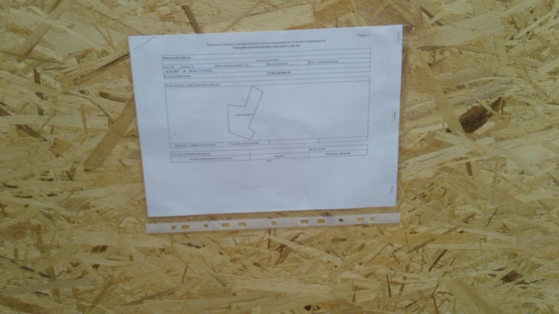 20180420_101631.jpg