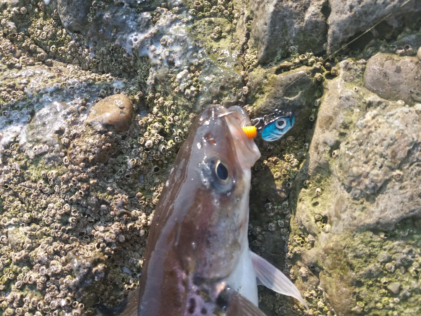 20180425_161604.jpg