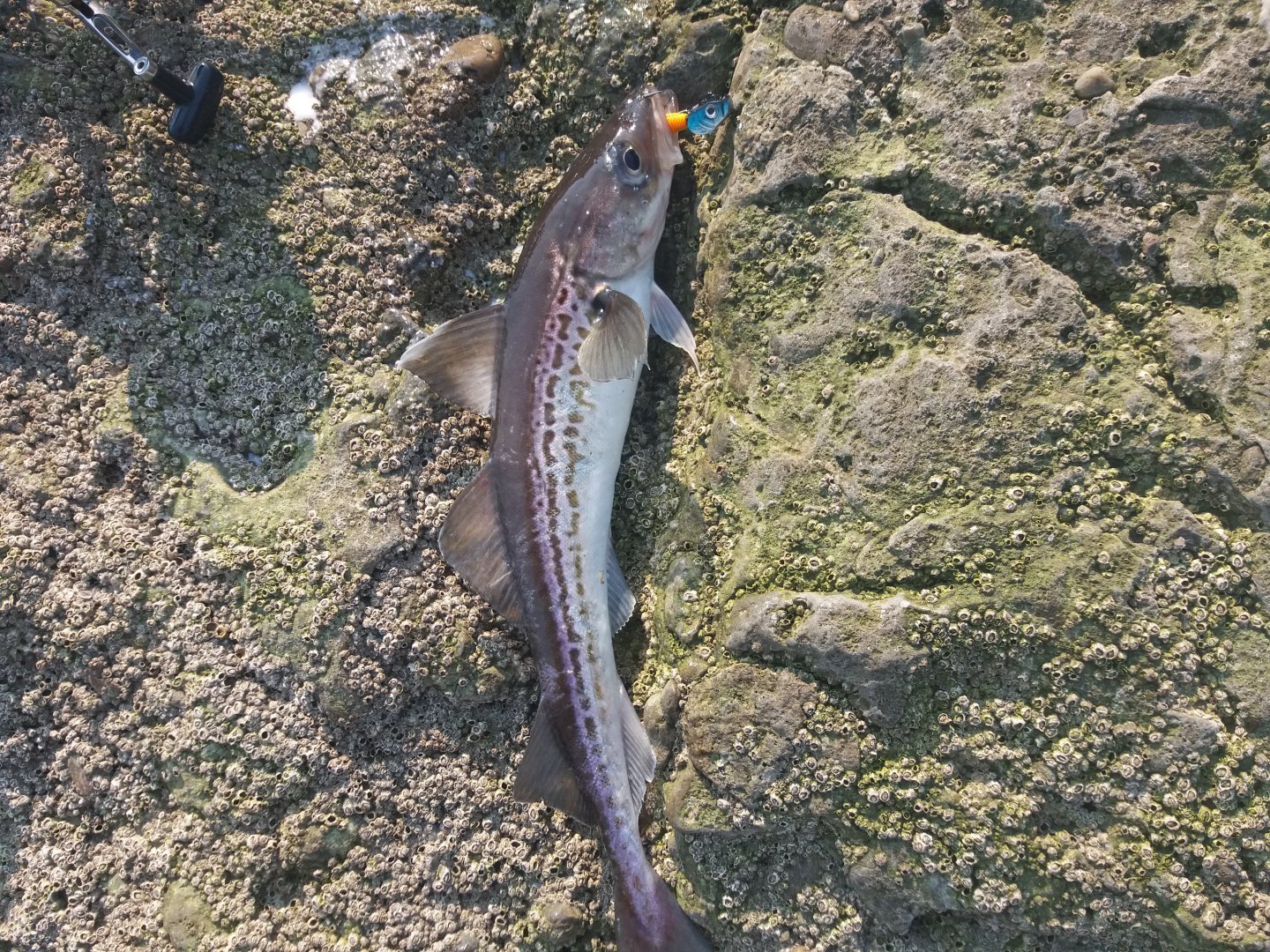 20180425_161609.jpg