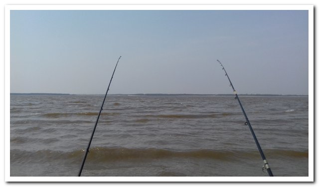 20180426_123623.jpg