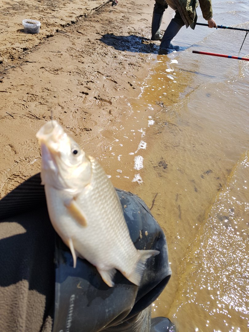 20180428_113719.jpg