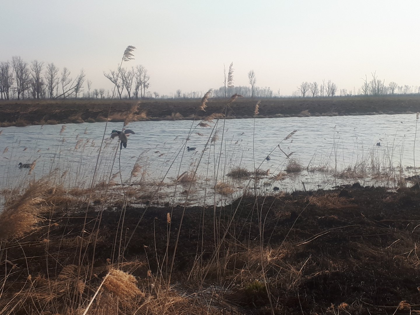 20180430_074831.jpg