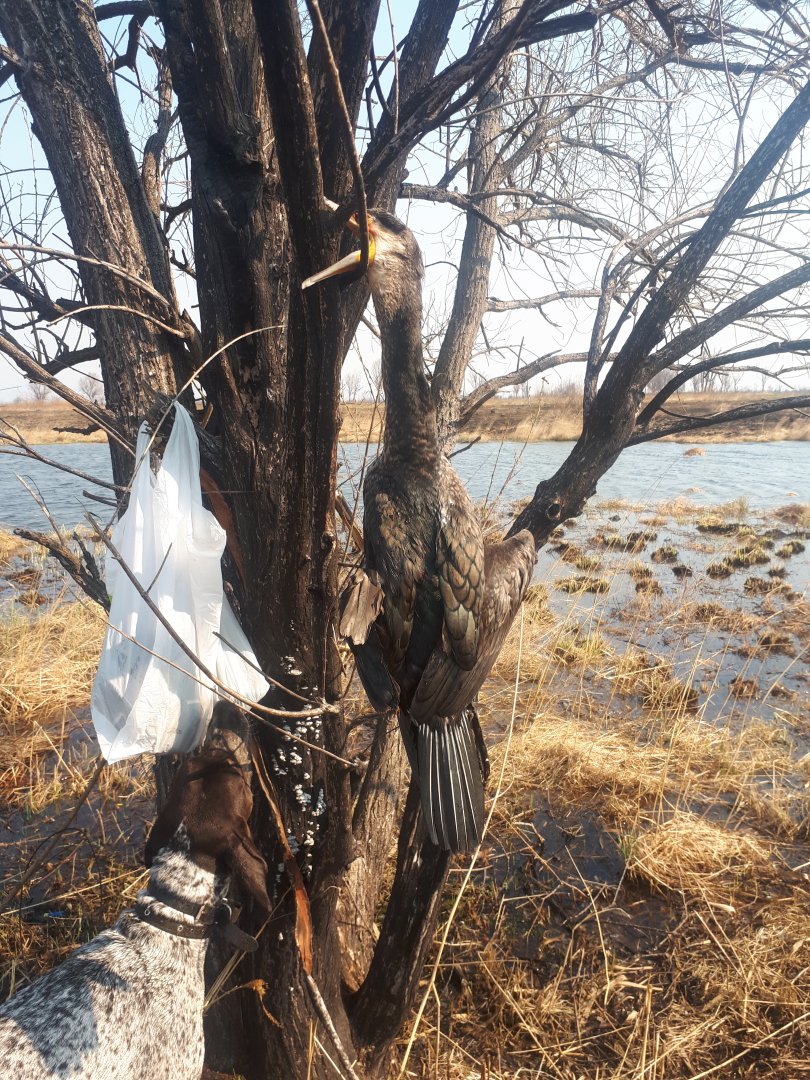 20180430_092755.jpg