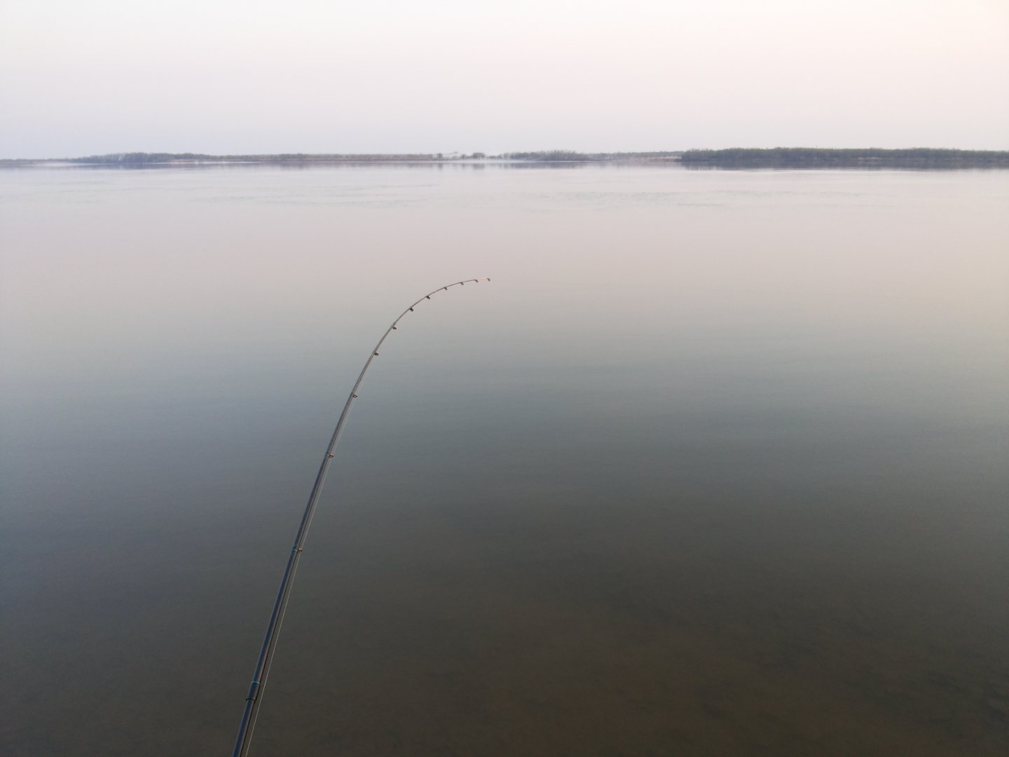 20180502_061613.jpg