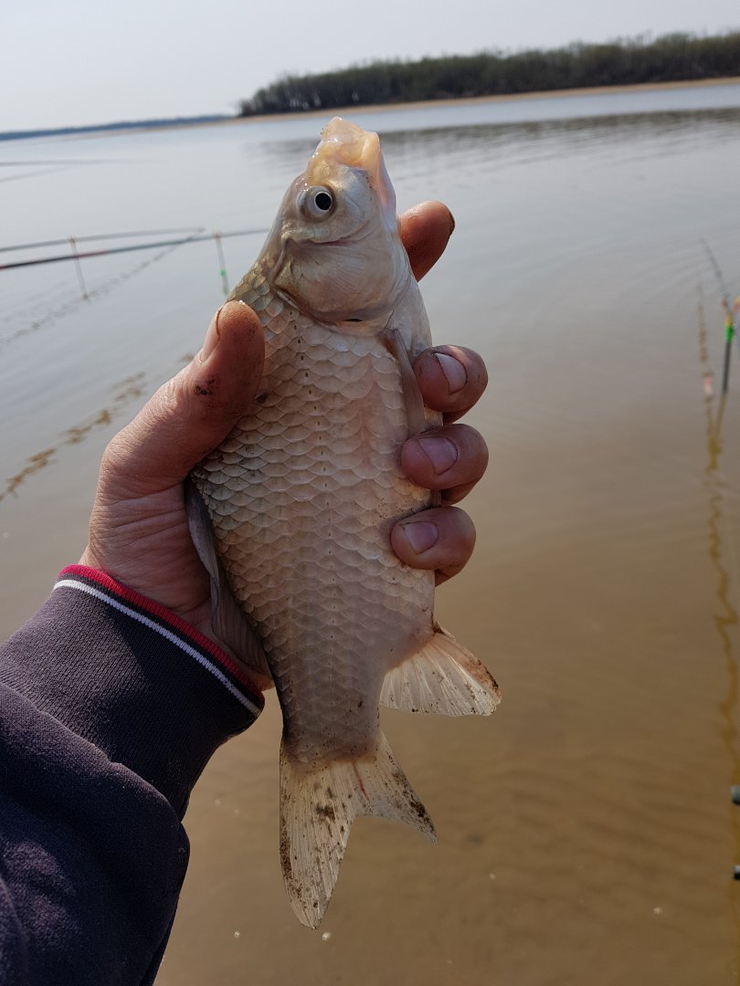 20180502_111446.jpg