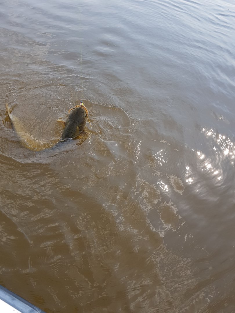 20180502_151443.jpg
